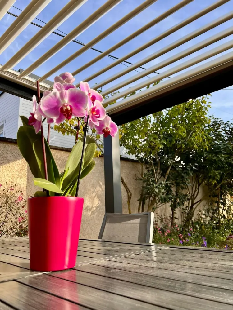 Pergolas (24)