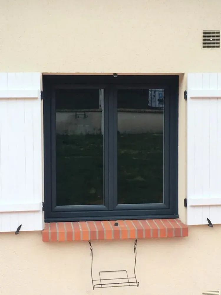 Fenetres (13)