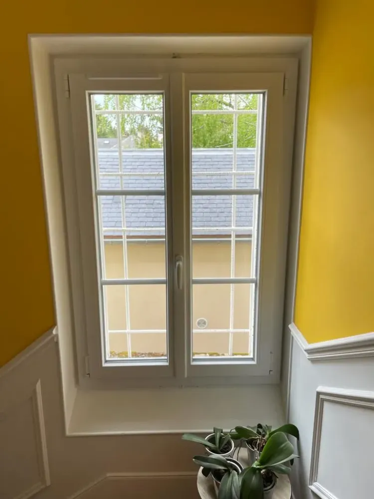 Fenetres (28)