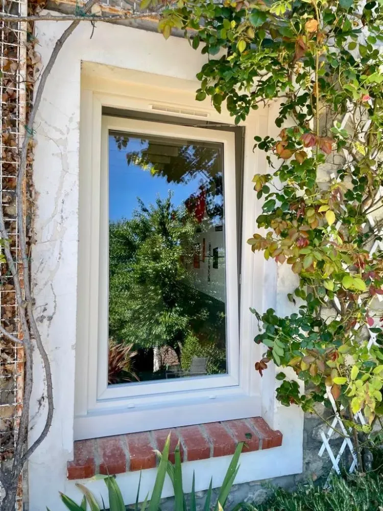 Fenetres (39)