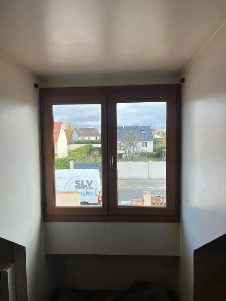 Fenetres (41)