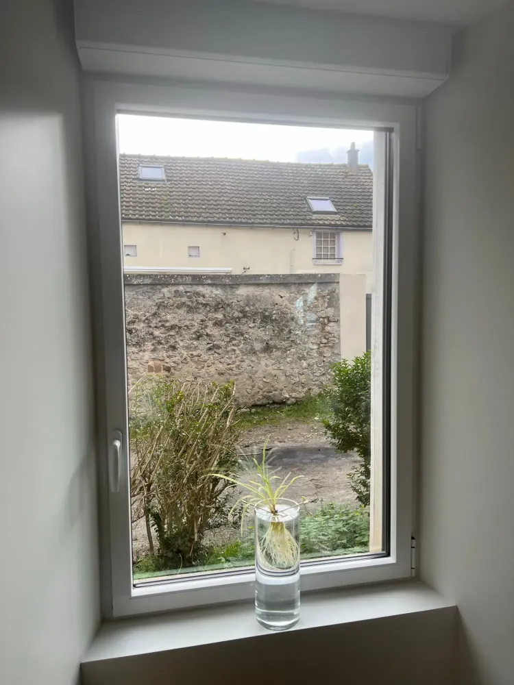 Fenetres (43)