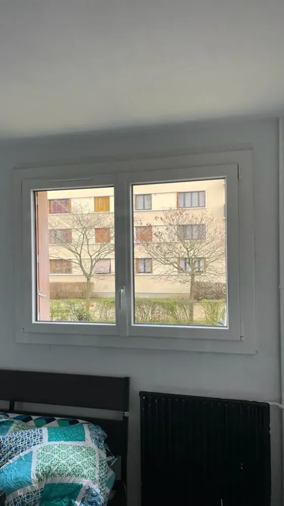 Fenetres (54)