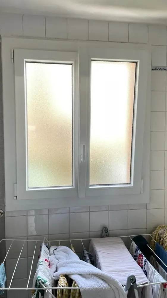 Fenetres (56)
