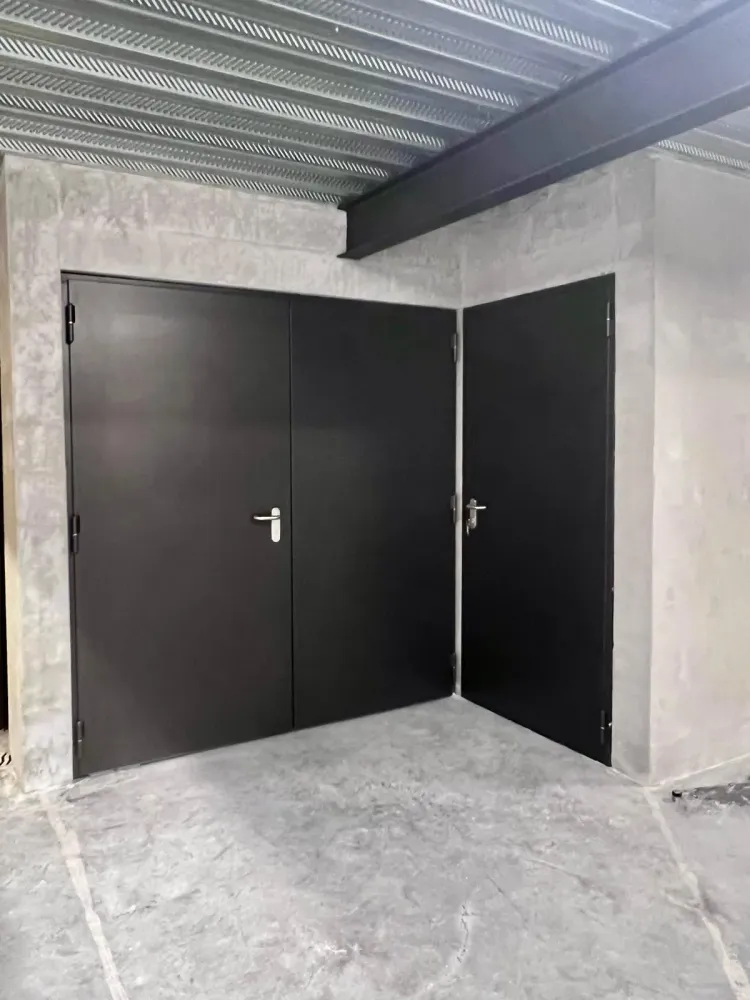 Porte d'entrées (61)