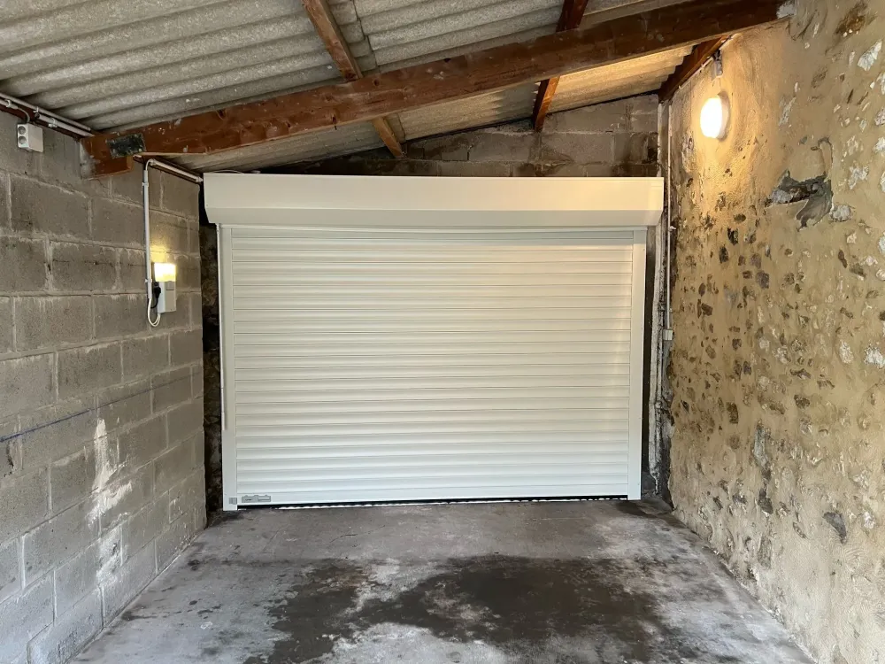Portes de garage (78)